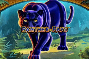 Panther Pays - LETSEBET77