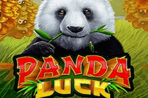 Panda Luck - LETSEBET77