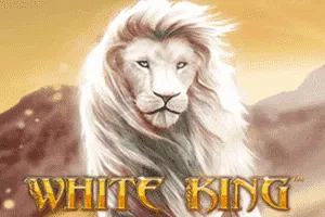 White King - LETSEBET77
