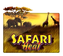 Joker123 : Safari Heat - LETSEBET77