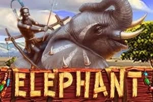 PLAYSTAR : ELEPHANT - LETSEBET77