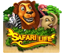 Joker123 : Safari Life - LETSEBET77