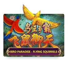Bird Paradise - LETSEBET77