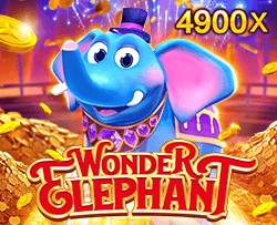 Wonder Elephant - LETSEBET77