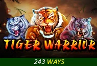 Spadegaming : Tiger Warrior - LETSEBET77