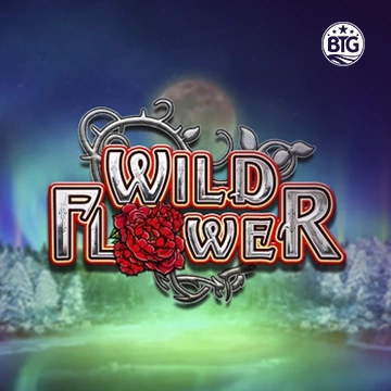 Bigtime : Wild Flower - LETSEBET77