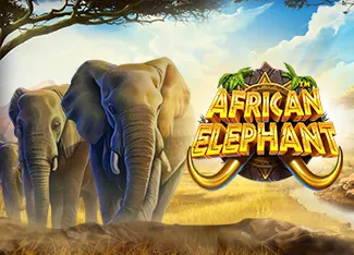 Pragmatic : African Elephant - LETSEBET77